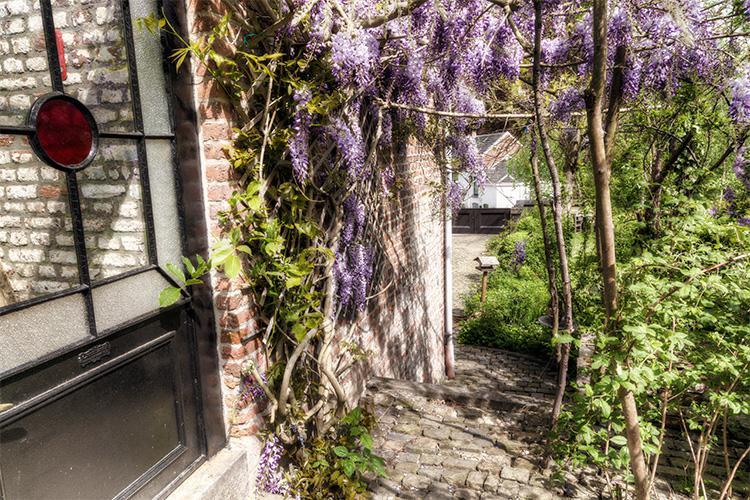 Aux Quatre Bonniers Bed & Breakfast Olne